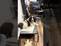 Finn put a hard day in at the office! #dog