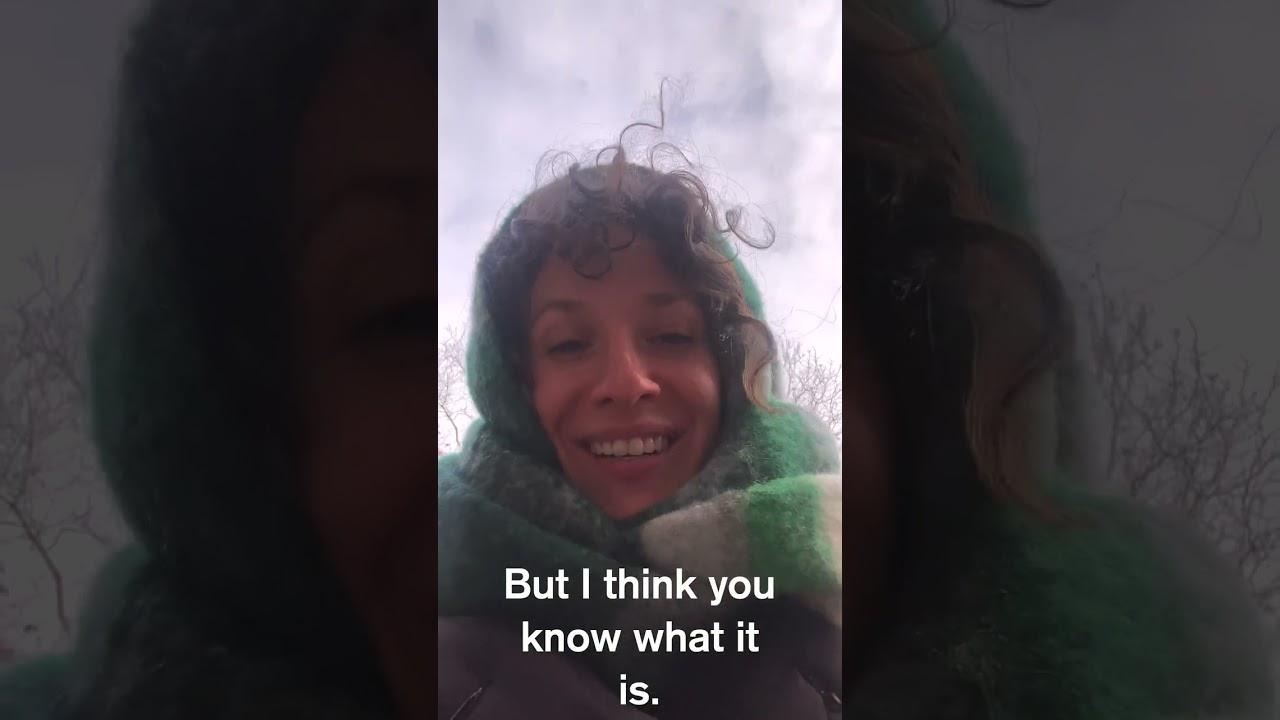 How to Get Free Books in NYC 