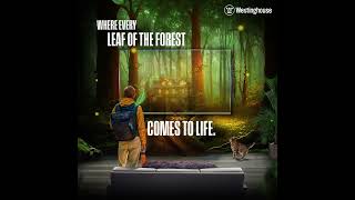 Westinghouse Brings You Hd Views And Colours So Vibrant, Even Rainbows Are Taking Notes