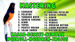 🔴 SUPER‼️MASTERAN MURAI BATU GACOR ISIAN MEWAH