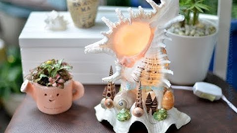Đèn ngủ để bàn bằng vỏ "ỐC GAI TRẮNG" - MỸ NGHỆ ỐC BIỂN
