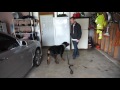 How to sit Wagging Rights Dog Training Saint Charles IL How to sit Wagging Rights Dog Training Saint Charles IL