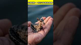 मरने से पहले जान लो ये 5 Shocking Facts 🤯 | Hindi Amazing Facts #shorts