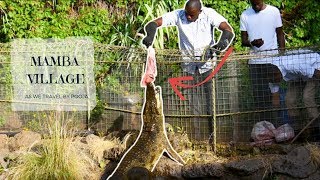 Feeding Crocodile And More Fun At Mamba Village Karen Kenya Africa Travel Vlog