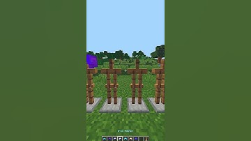 Minecraft BUT What if you try to remove the armor with the curse of binding 🧐 # shorts