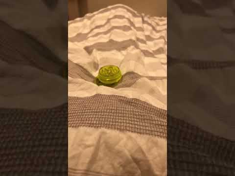 How to Roll a Backstrap Joint