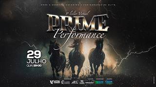 1º LEILÃO VIRTUAL PRIME PERFORMANCE - JAGUARIUNA/SP - CRIAR LEILÕES
