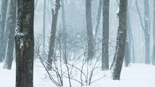 Snowfall Music, Alluring Winter Scenes music video