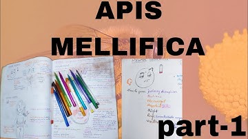APIS MELLIFICA DRUG PICTURE||keynotes symptoms||homoeopathic medicine