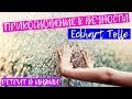 Большой Ретрит в Индии с Просветленным! NikOsho и Eckhart Tolle «Прикосновение к Вечности»