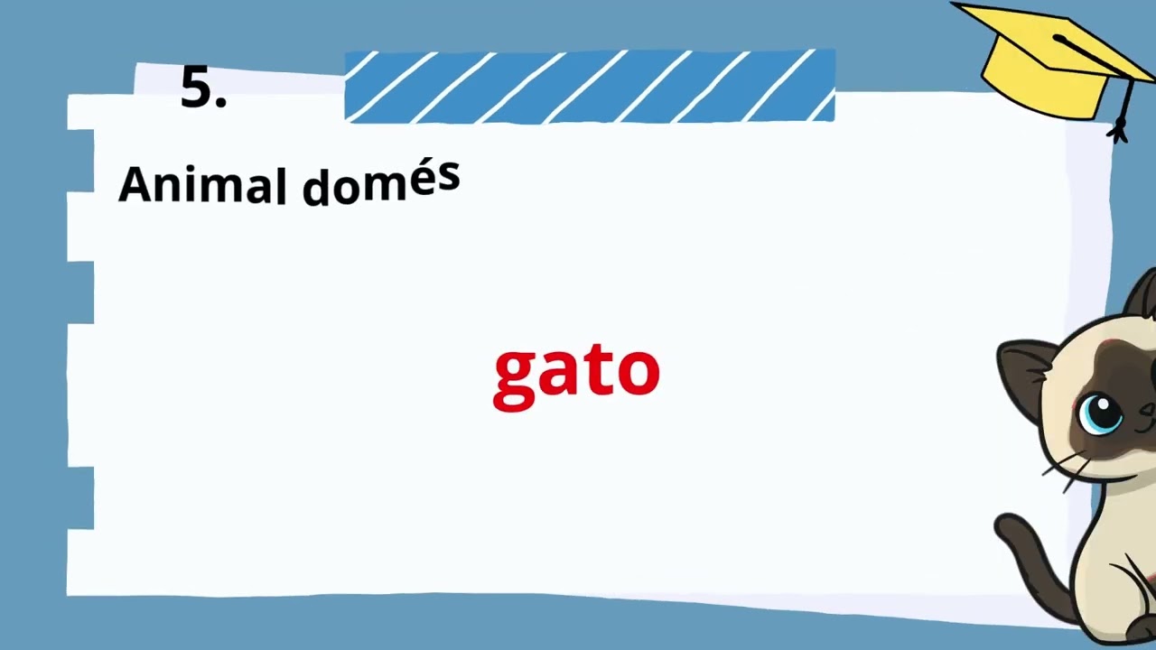 Trivia Vocabulario Sustantivos A2 👦🏻👩📚⏰🏆 #vocabulary #vocabularywords #vocabulario