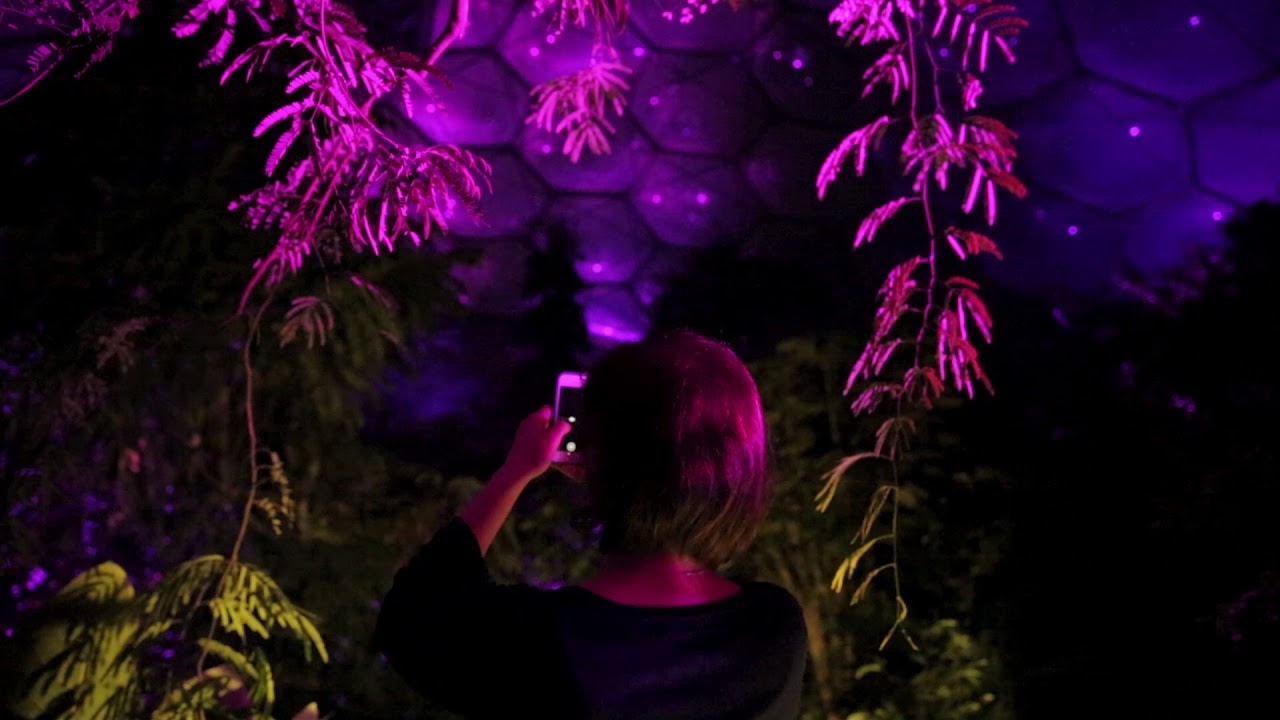 Magical Rainforest at the Eden Project this Christmas
