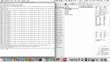 HeFPipe Tutorial-GeneMapper-formatted allele reports
