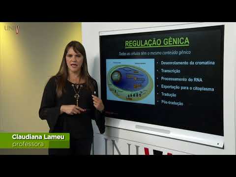 Vídeo: Características Transcricionais De Blocos Reguladores Genômicos