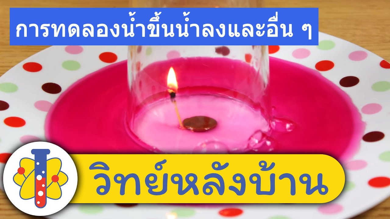 ⁣การทดลองน้ำขึ้น | Rising Water Science Experiment | วิทย์หลังบ้าน