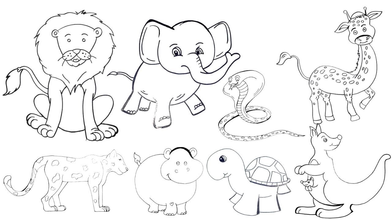 Animals drawing How to draw Wild animals easy step by step  YouTube