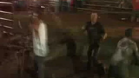 Hog wrestling-Mile branch fairgrounds