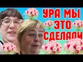 Ольга Уралочка live /Поздравляю /Мы это сделали /Обзор Влогов /Уралочка и Сафар /