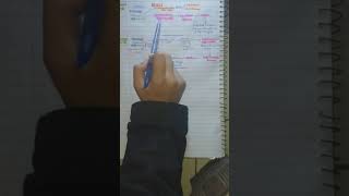 Cranial Nerves1-4 Urduhindimbbs Guide