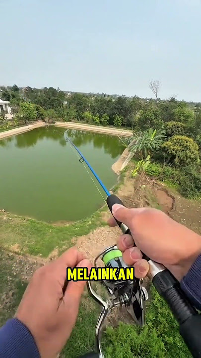fishing for catfish under the bridge #shorts #shortvideo #shortsvideo