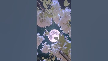 اجب ان كنت تعرف الجابه ماهي السورة التي تشفع لقارئها يوم القيامة