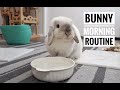 Quarantine life | Bunny Morning Routine 🐰☀️