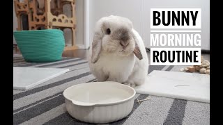 Quarantine life | Bunny Morning Routine ☀