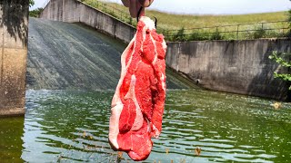 I Tossed HUNKS of MEAT into A SPILLWAY... And it WORKED!!!