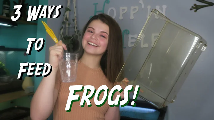 Three Ways to Feed Frogs!