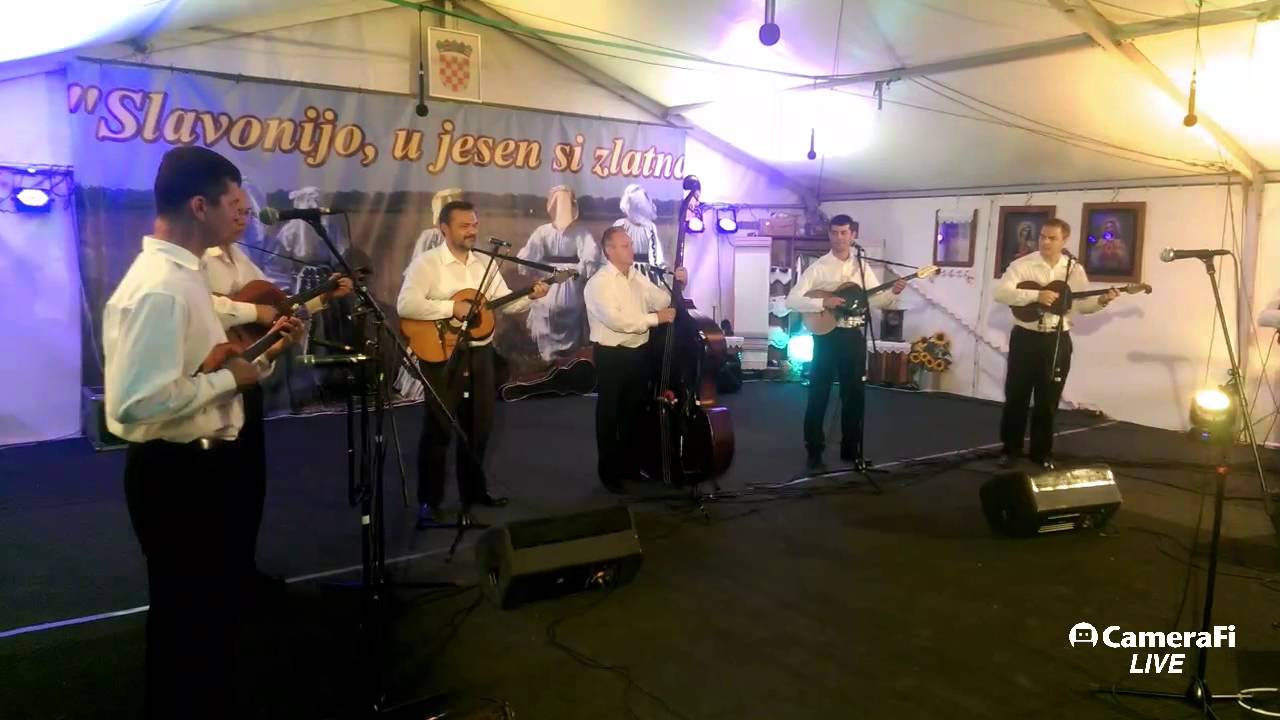 Koncert Zvonka Bogdana Tenja 2016.