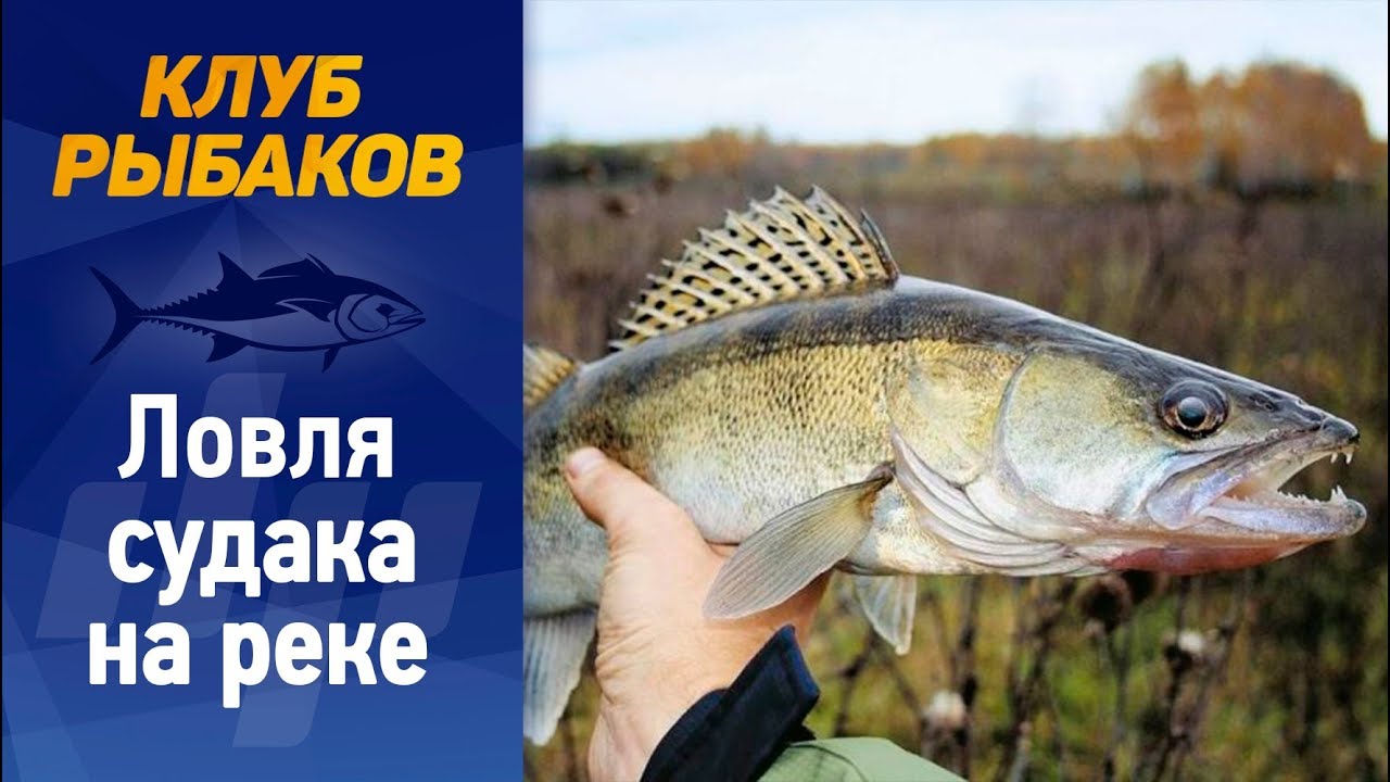 рыбалка река уень рыбалка река уень