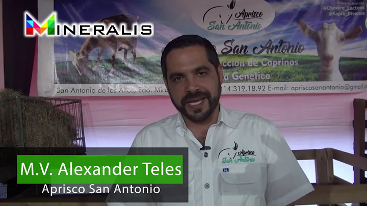 MINERALIS RUMIANTES - -APRISCO SAN ANTONIO- -, TES...