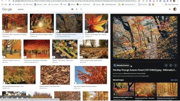 Google Image Search for Creative Commons Images