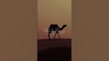 ما أجمل الاستماع لقراءة القرآن الكريم❤️❤️❤️