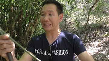 Bamboo Drinking Straws