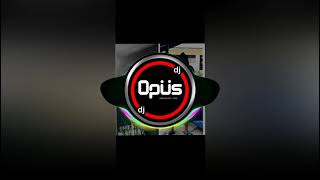 DJ opus