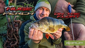 HUGE PERCH ON THE FLOAT