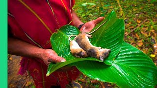 Exotic Rural Thai Cuisine! WARNING: Shows rat catching and cooking scenes