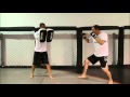 Roundhouse kick  kickboxing technique   fightpedia by factum crossfit and mma in sandy ut