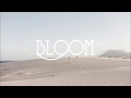 The Paper Kites - Bloom