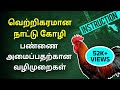 நாட்டு கோழி வளர்ப்பு முறை | கோழி பண்ணை அமைக்க ஆகும் செலவு | How to Start Chicken Farm Business