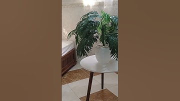 #ديكور_داخلي مع تلاوة عطرة#ديكورات #تزين_البيت #