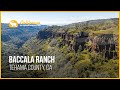 Baccala Ranch | Tehama County, CA