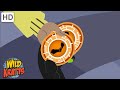 Creature Power Adventures Quiz