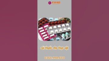 Thuốc Đặc Trị Virut (Virus) | Cách Trị Virut Trên Cây Trồng #finonôngnghiệp