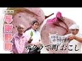 桜で与謝野をまちおこし!|与謝野町|【ふるさとDays】