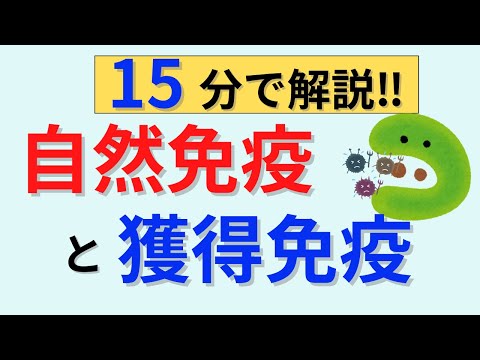 【15分で解説】白血球と免疫について解説