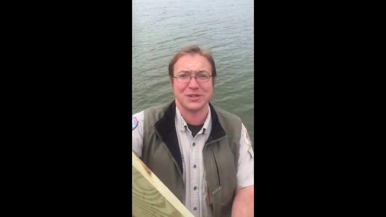 camera iphone 8 plus apk Installing an Osprey Cam, Part One
