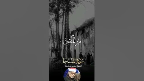 #تلاوة نادرة ومؤثرة للشيخ الجليل سيد سعيد خشوع وتدبر#اسلاميات #راحة_نفسية #ارح_قلبك #اكسبلور #لايك