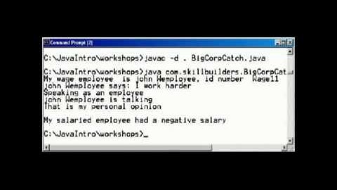 Exception handling in java and other languages part 3.flv